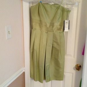 Ann Taylor Celebrations Silk Dupioni Dress