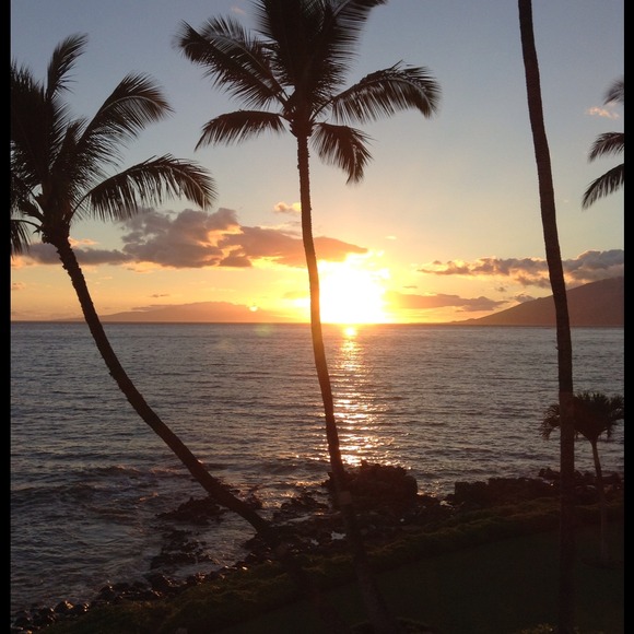 Comments For This Listing Are Full - Picture 3 of 4