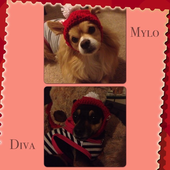 My babies
