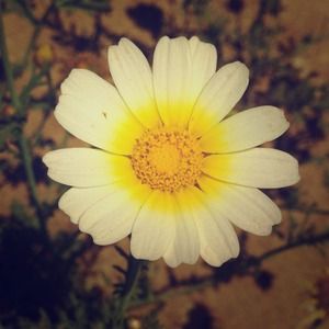 MAKE ME OFFERS!!! I CAN ALSO BUNDLE ITEMS !!! : )