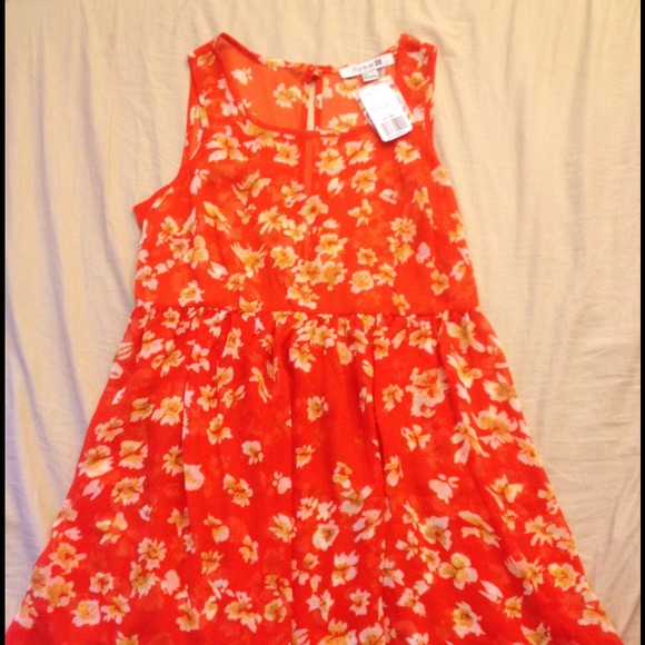 Sheer baby doll dress with open back