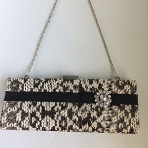Snakeskin Clutch