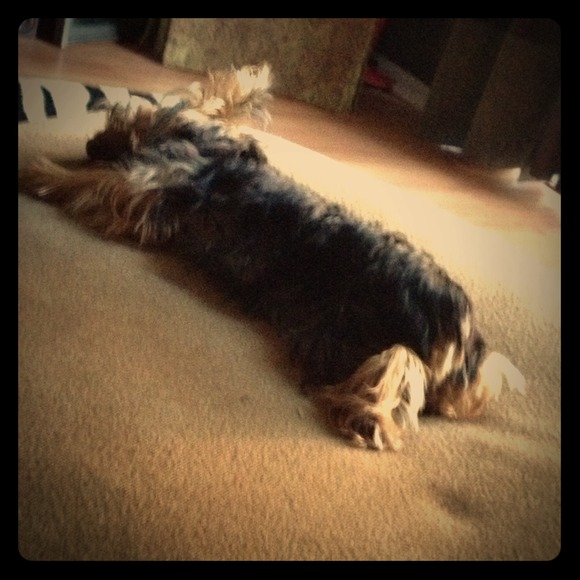 POOPED OUT FROM LISTING!!!! - Picture 1 of 4