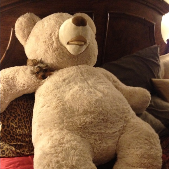 POOPED OUT FROM LISTING!!!! - Picture 3 of 4