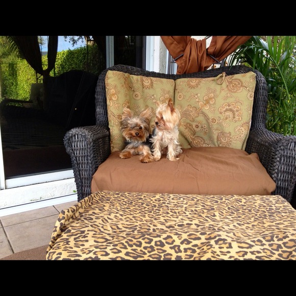 POOPED OUT FROM LISTING!!!! - Picture 4 of 4