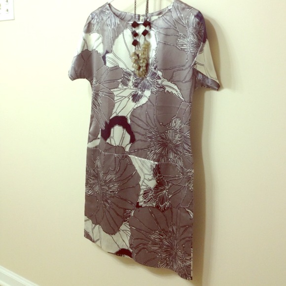 Banana Republic silk/azlon shift dress