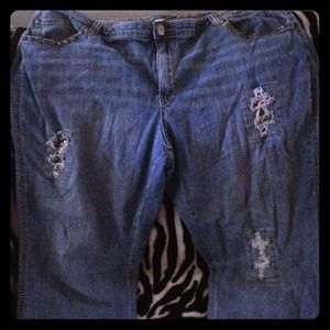Avenue jeans plus size