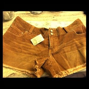 Light brown courdoroy short shorts