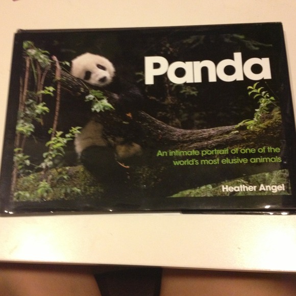 Panda book (on hold)