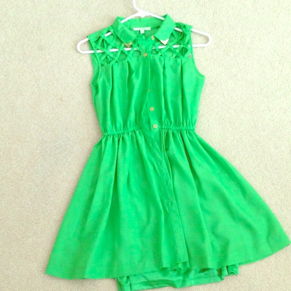 Green skater dress