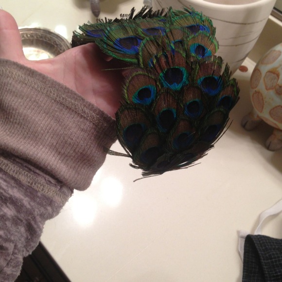 Peacock headband main image 4