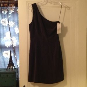 Elegant Silk J. Crew Evening Dress 8