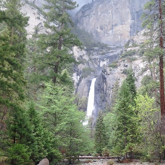 🌺REDUCED PRICES ON CLOSET🌺