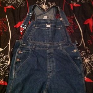 Denim Overalls