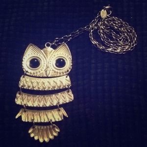 TRADED ✨LONG OWL NECKLACE✨