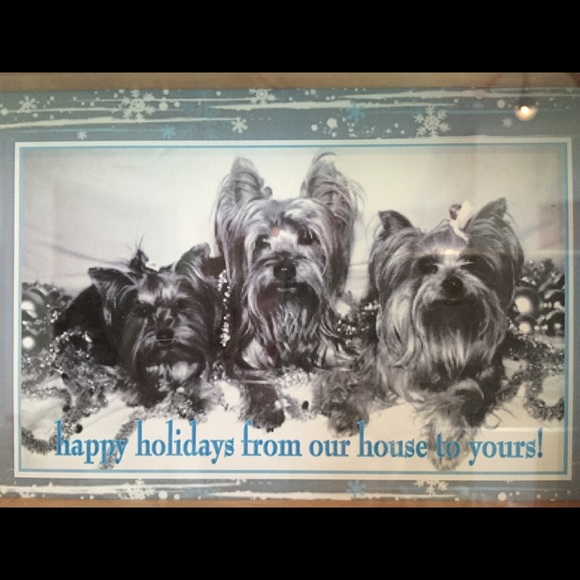 Meet the seller & buyer... - Picture 4 of 4