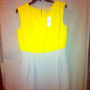 Ann Taylor Loft dress