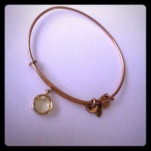 📍📍📍📍📍📍📍📍SOLD Alex and Ani bangle