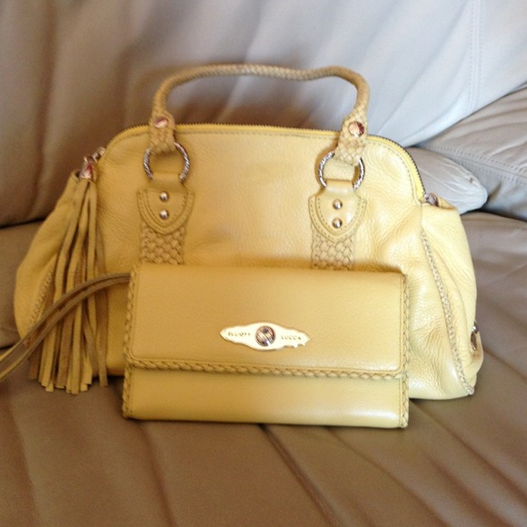 🌻Elliott Lucca handbag and wallet🌼*HOLD 4 Brandy