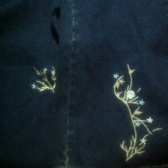 Deja Bleu Embroidered Flare Jeans