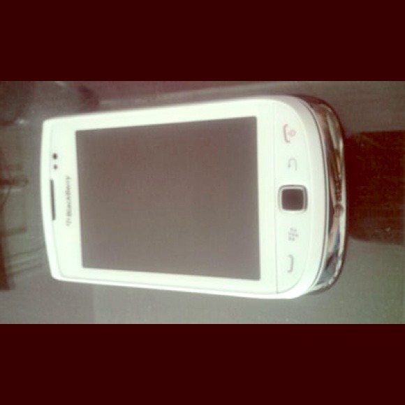 Blackberry torch