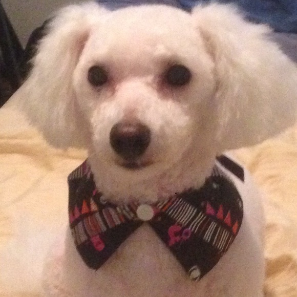 Please help the family of your seller! - Picture 3 of 4