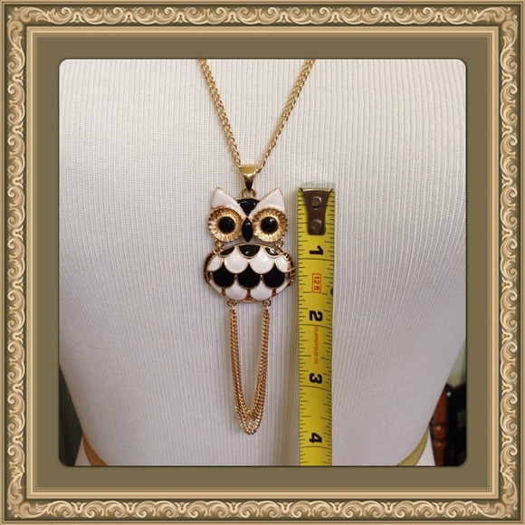 🚫SOLD🚫OWL NECKLACE - Picture 2 of 3