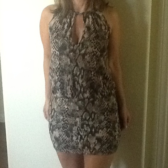 Arden B Halter Mini Dress