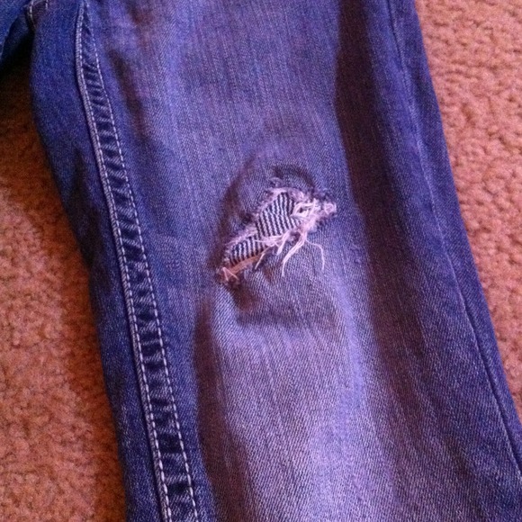 Capris - Picture 2 of 3