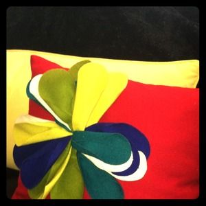 Ultra fun and cute decorative pillow