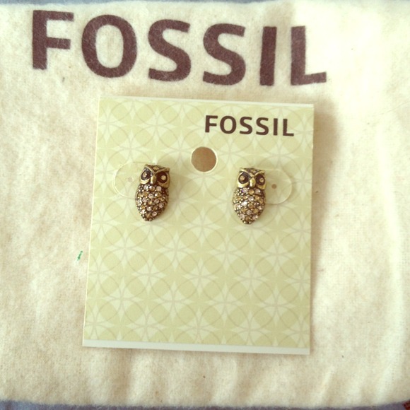 Fossil Owl Earrings