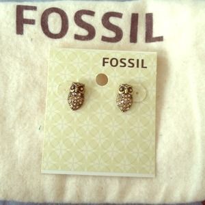 Fossil Owl Earrings