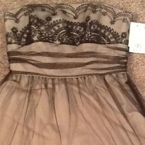 Champagne/Black "David's Bridal" Cocktail Dress