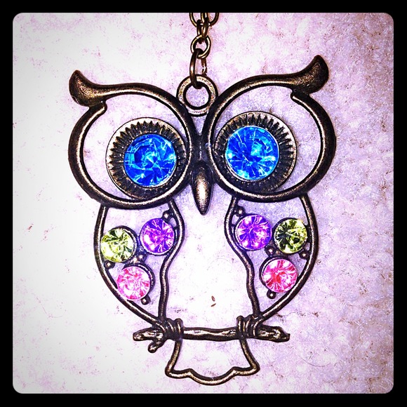 Super cute owl necklace.
