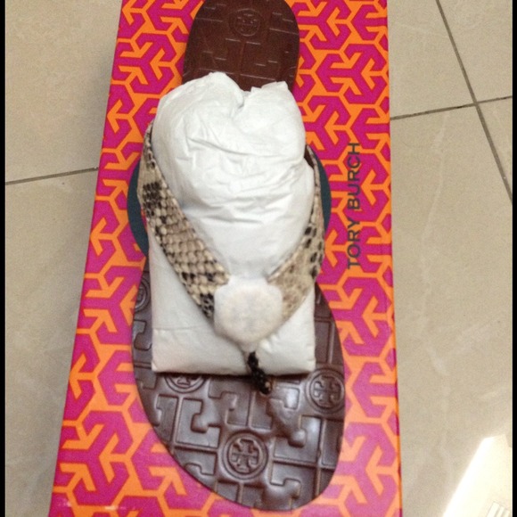 Tory Burch Shoes - Tory Burch Thora amazon croc print 125 pp