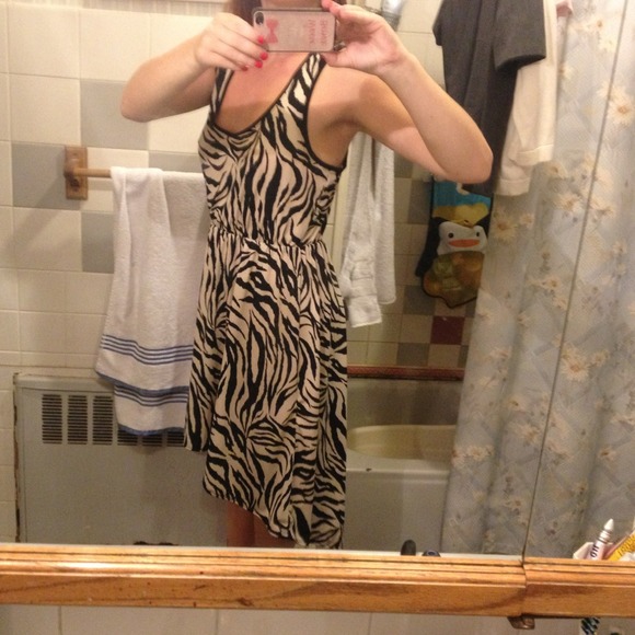 Nwt zebra hi low dress - Picture 4 of 4