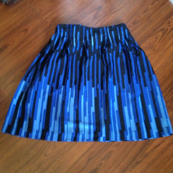 Woman's Plus Size Skirt