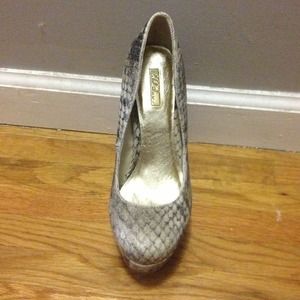 Snake skin and silver metal