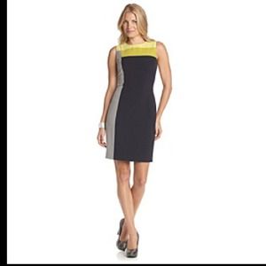 SMOKIN' HOT Calvin Klein colorblock dress