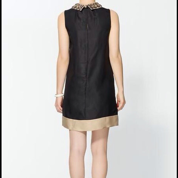 Stunner - Picture 2 of 4