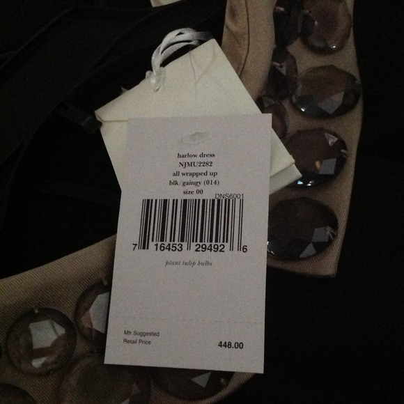 Stunner - Picture 4 of 4