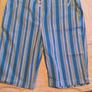 Anne Taylor Loft Striped Bermuda shorts.  Size 14