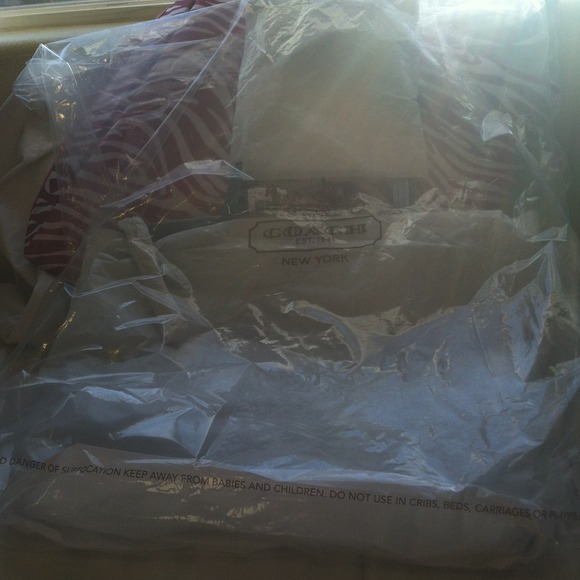 SILVER AND POOL NWT COACH TOTE - Picture 4 of 4