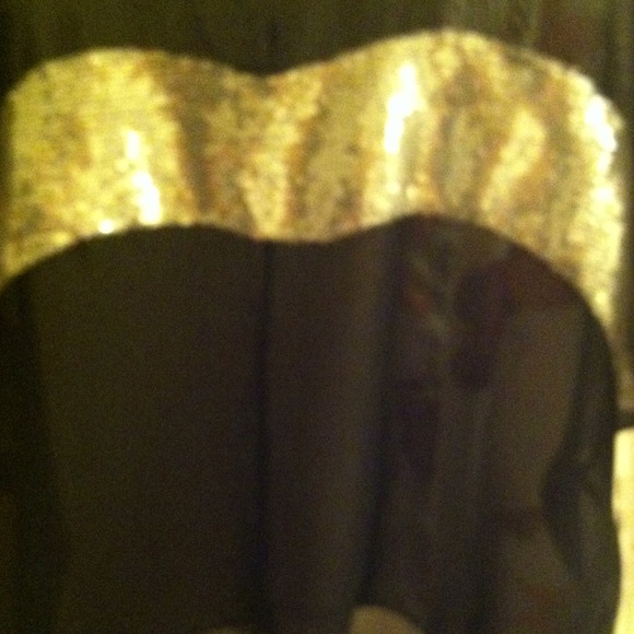 This beautiful sheer blouse with silver sequence