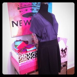 Banana Republic Raw Silk Origami Dress NWT (SZ 10)