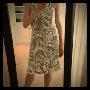 Ann Taylor Dress