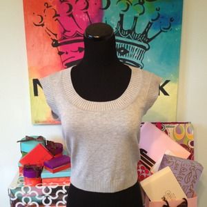 Express Crop Top Sweater Vest NWT (Size M)