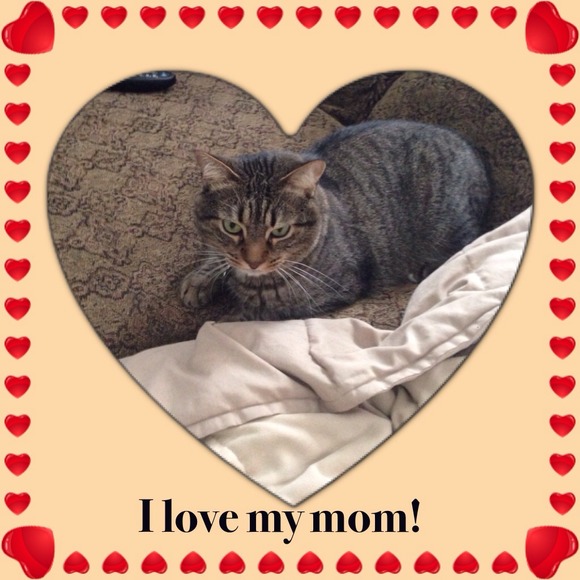 A boy's love for his Mam!