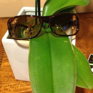 💯% Authentic Gucci Sunglasses