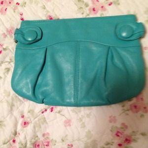 Cute tiffany green clutch